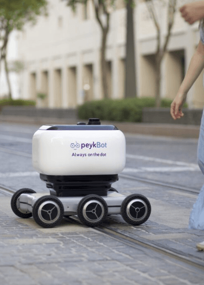 DeliveryX , PeykBot , delivery robots