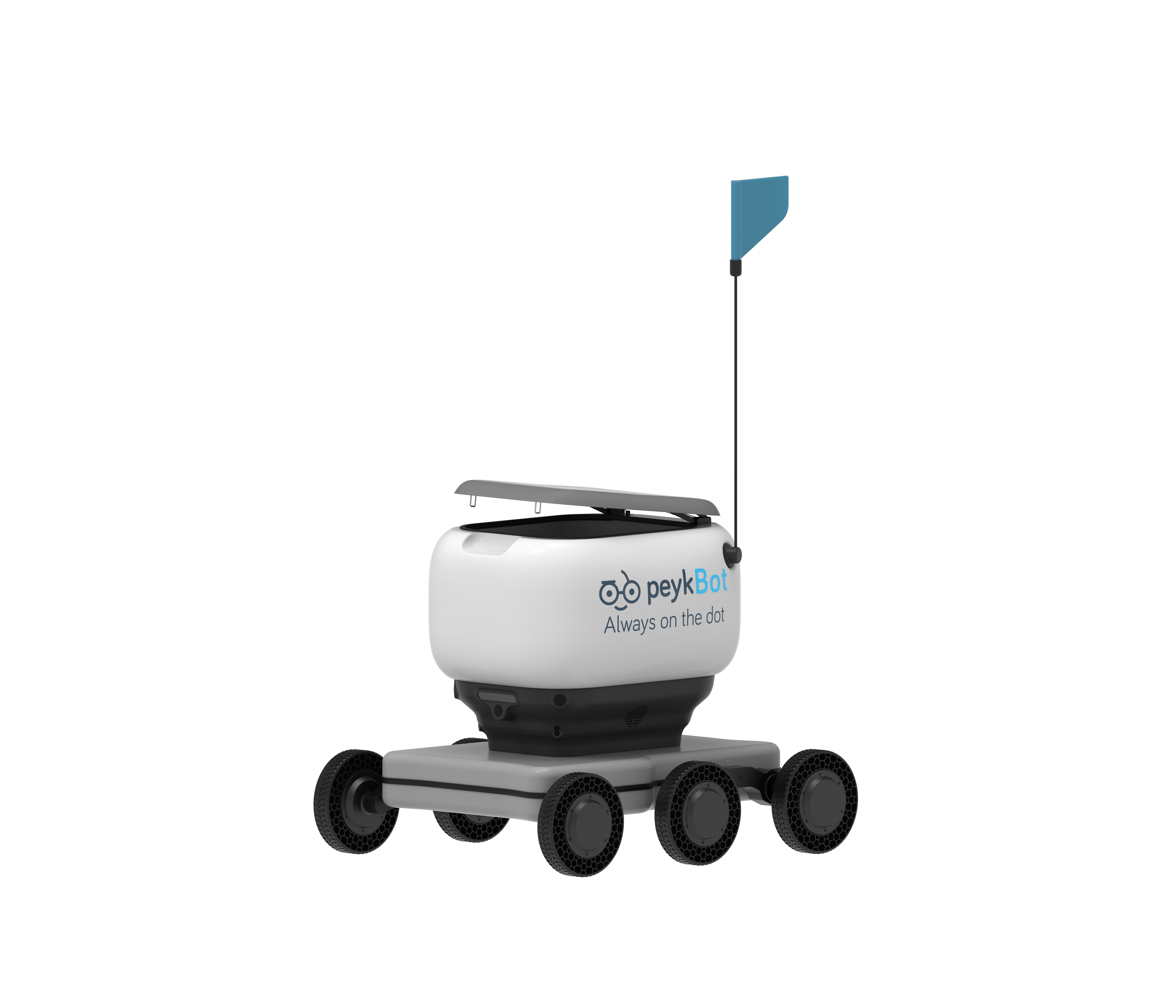 Peykbot robot