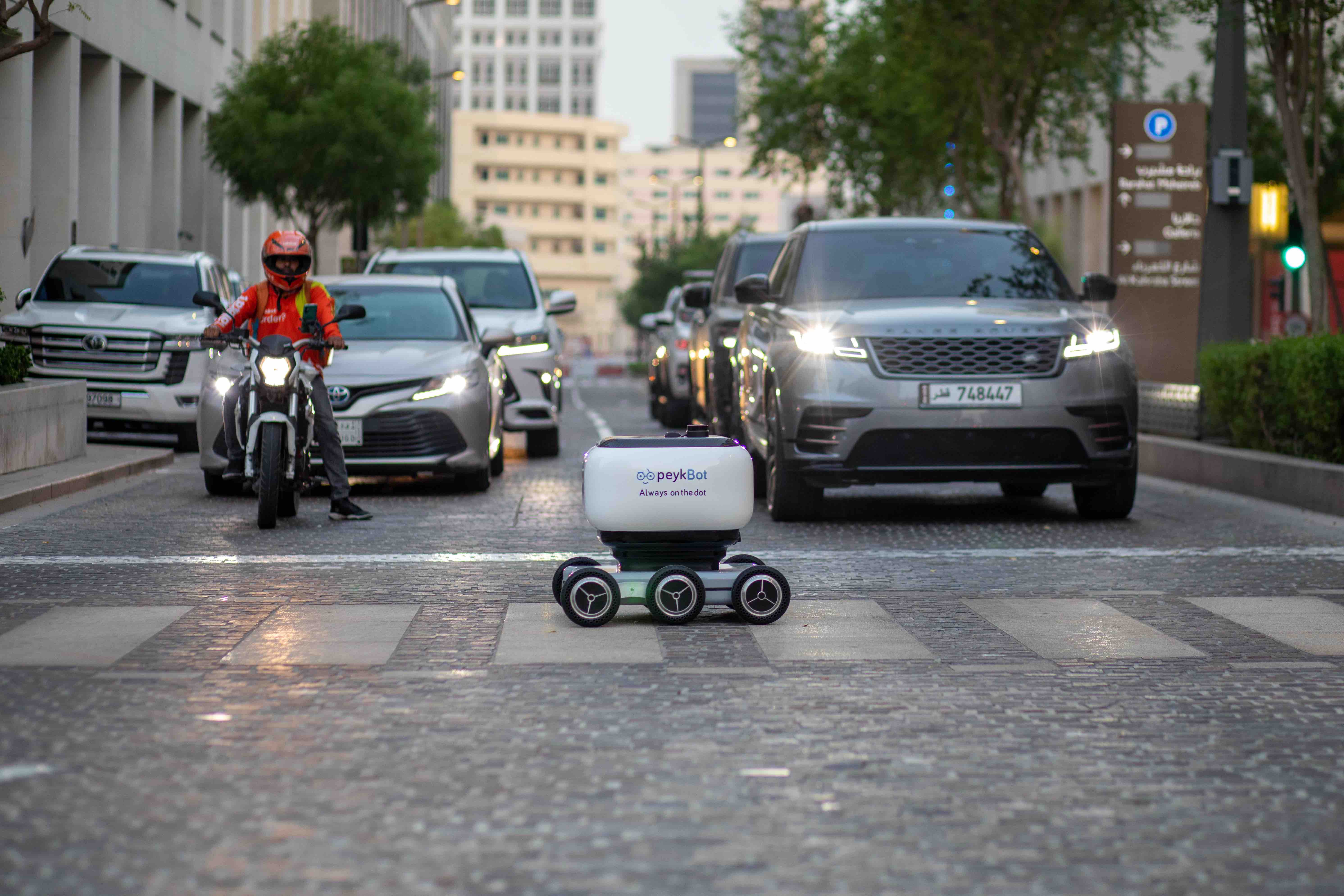 Peykbot delivery robot