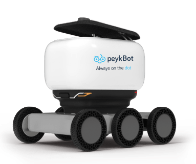 Peykbot robot