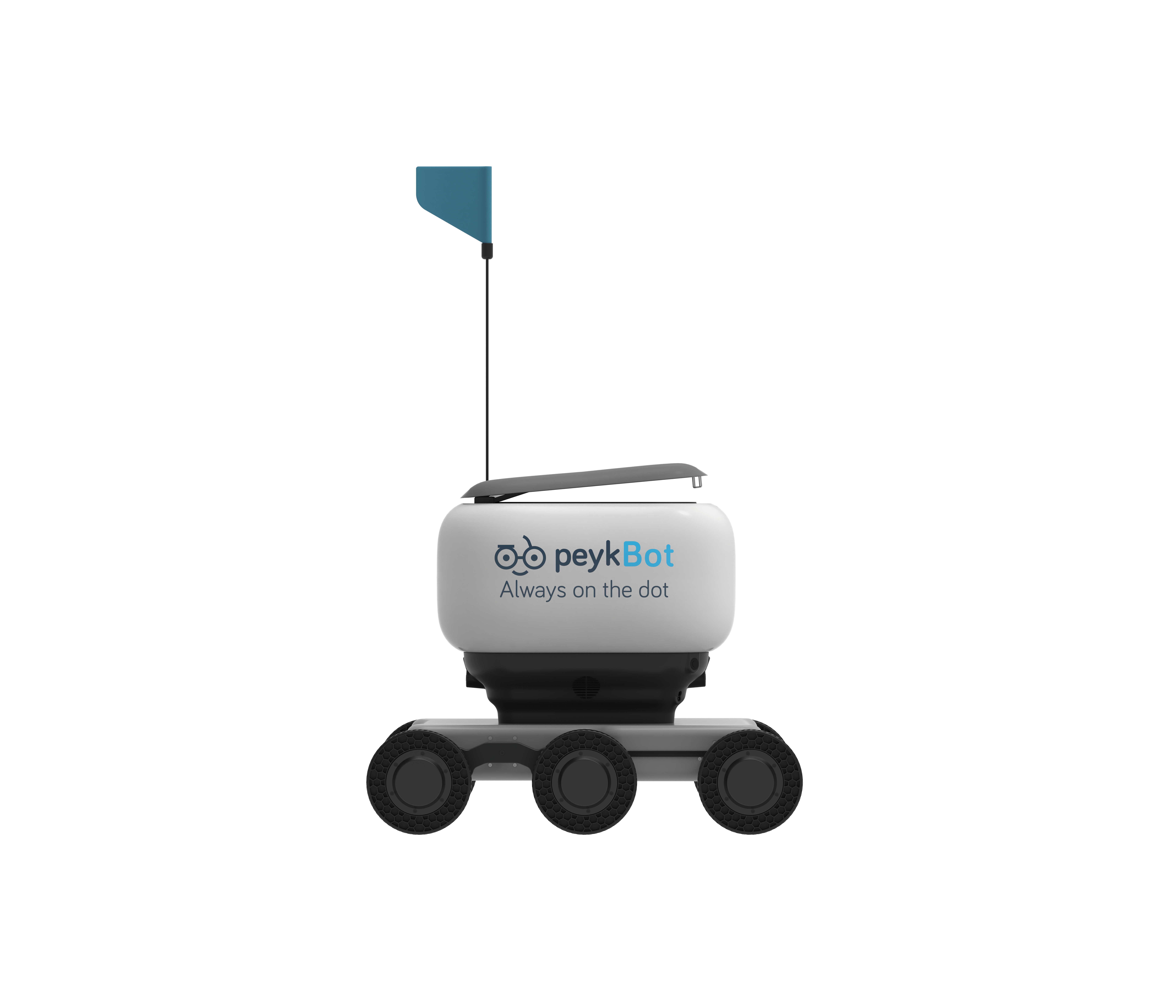 PeykBot